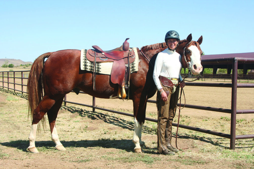 western dressage horse