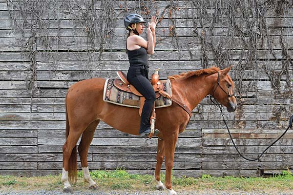 yoga on horseback