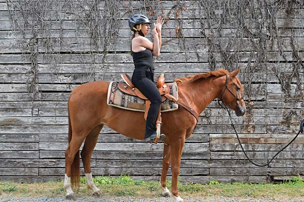 yoga on horseback