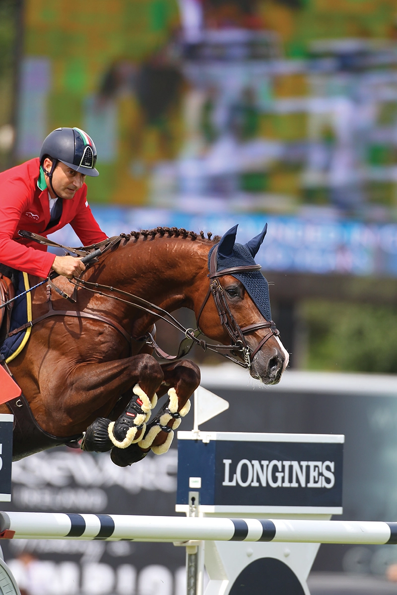 iergiorgio Bucci of Italy riding Casallo Z, a Zangersheide, in the NationsCup at Hickstead in 2016