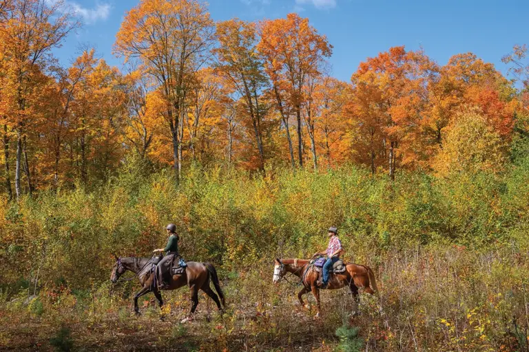 Horseback Riding in Algonquin Provincial Park