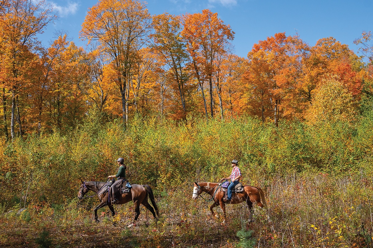 Horseback riding in Algonquin Provincial Park.