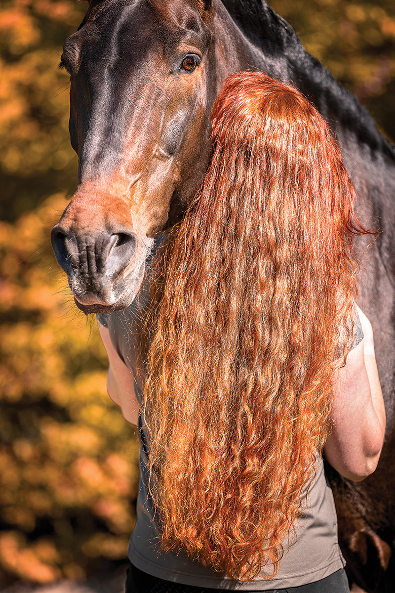 Practicing animal communication with a horse.