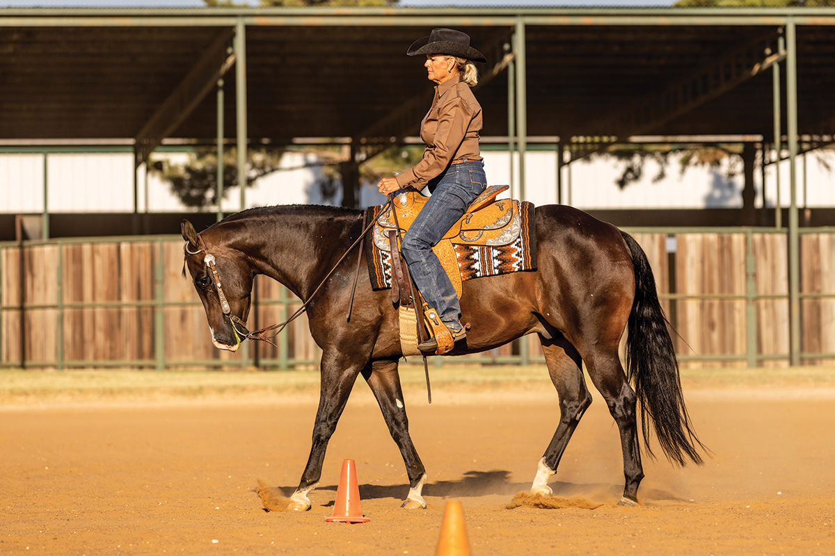 A trainer works with an antsy horse to avoid anticipation in a pattern class