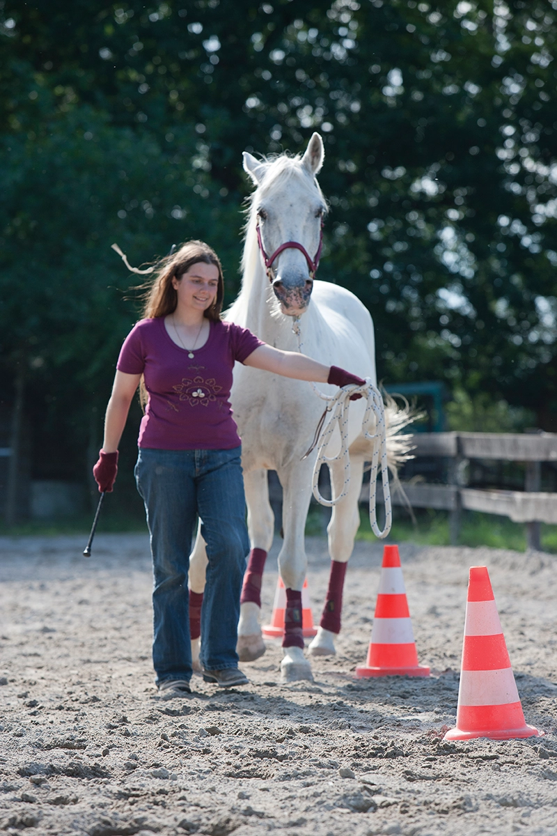 An equestrian practicing groundwork exercises to prevent asymmetry in her horse.