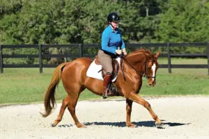 Balance Your Horse's Turns