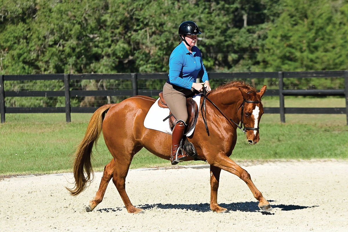 Allison demonstrates riding inside leg to outside rein to help her horse balance on the turn.