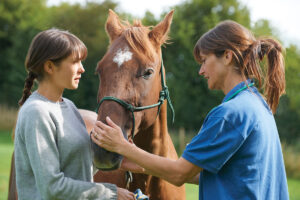 Botulism in Horses