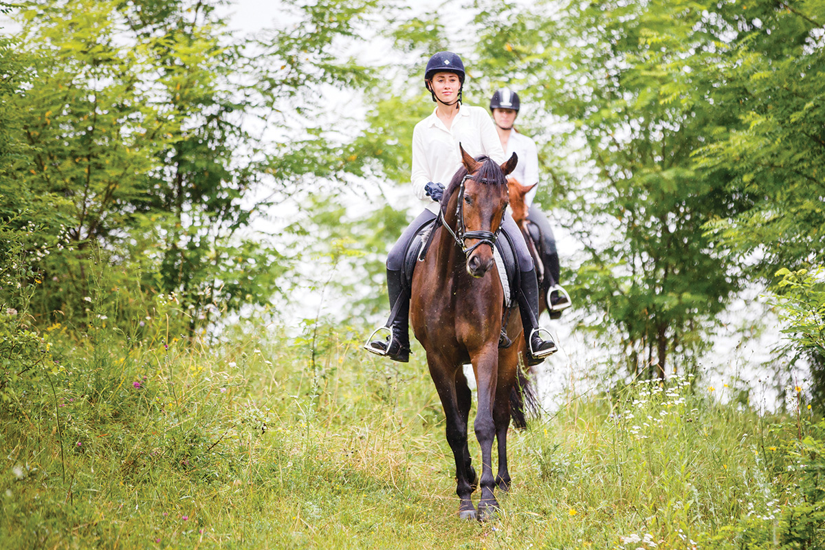 An equestrian trail riding