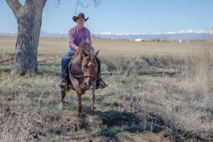 Teach Your Horse to Cross a Ditch