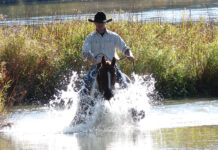A horse and cowboy crossing water