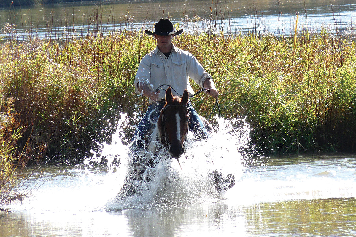 A horse and cowboy crossing water