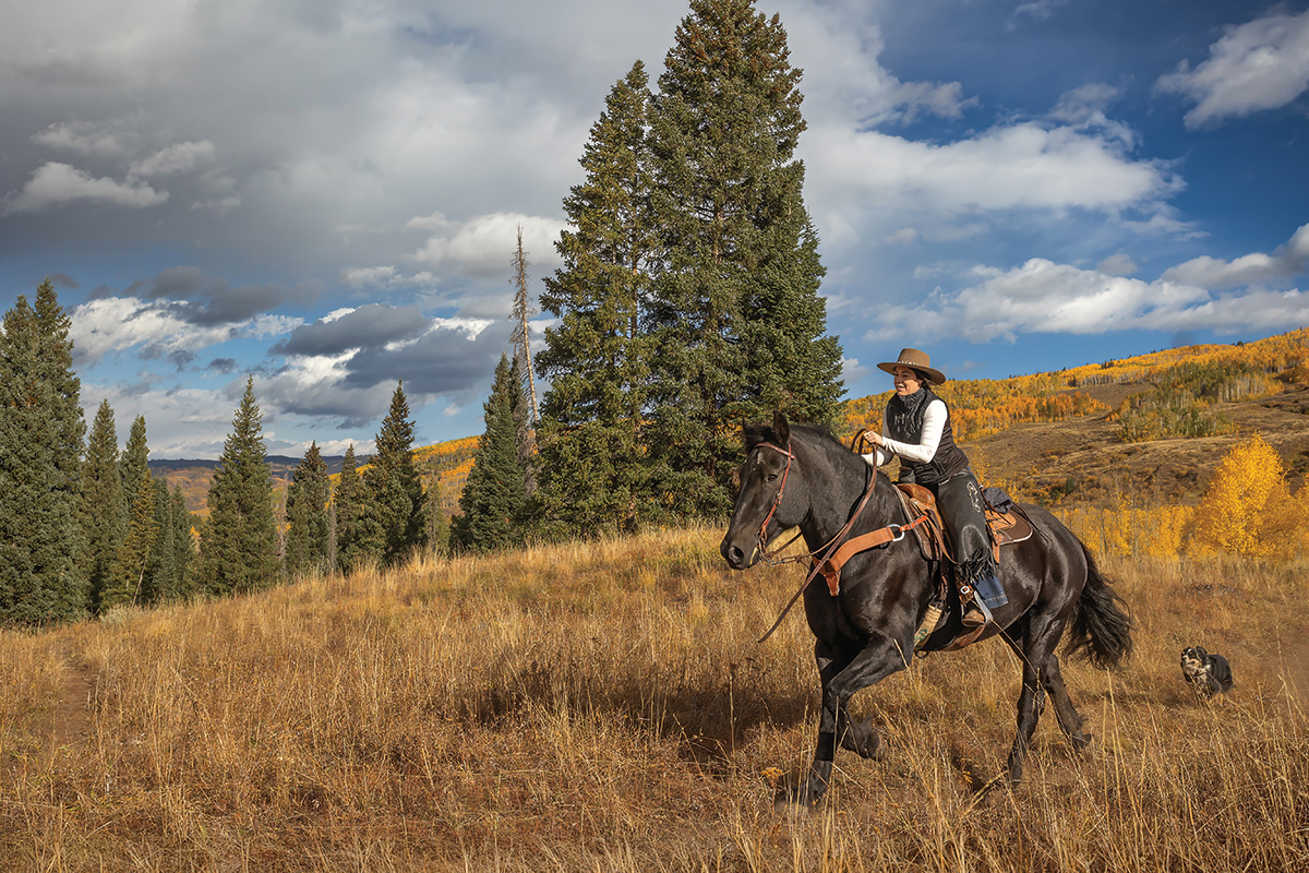 A cowgirl gallops on a draft horse with a dog following.