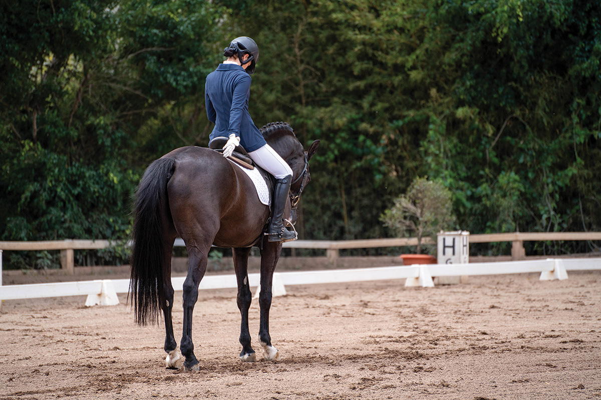 A rider performing dressage movements on her horse