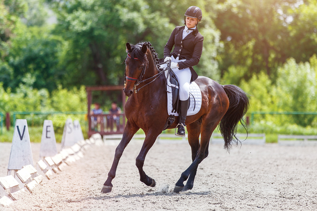 A rider working to improve her dressage score