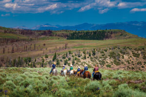 Guest Ranch Horses
