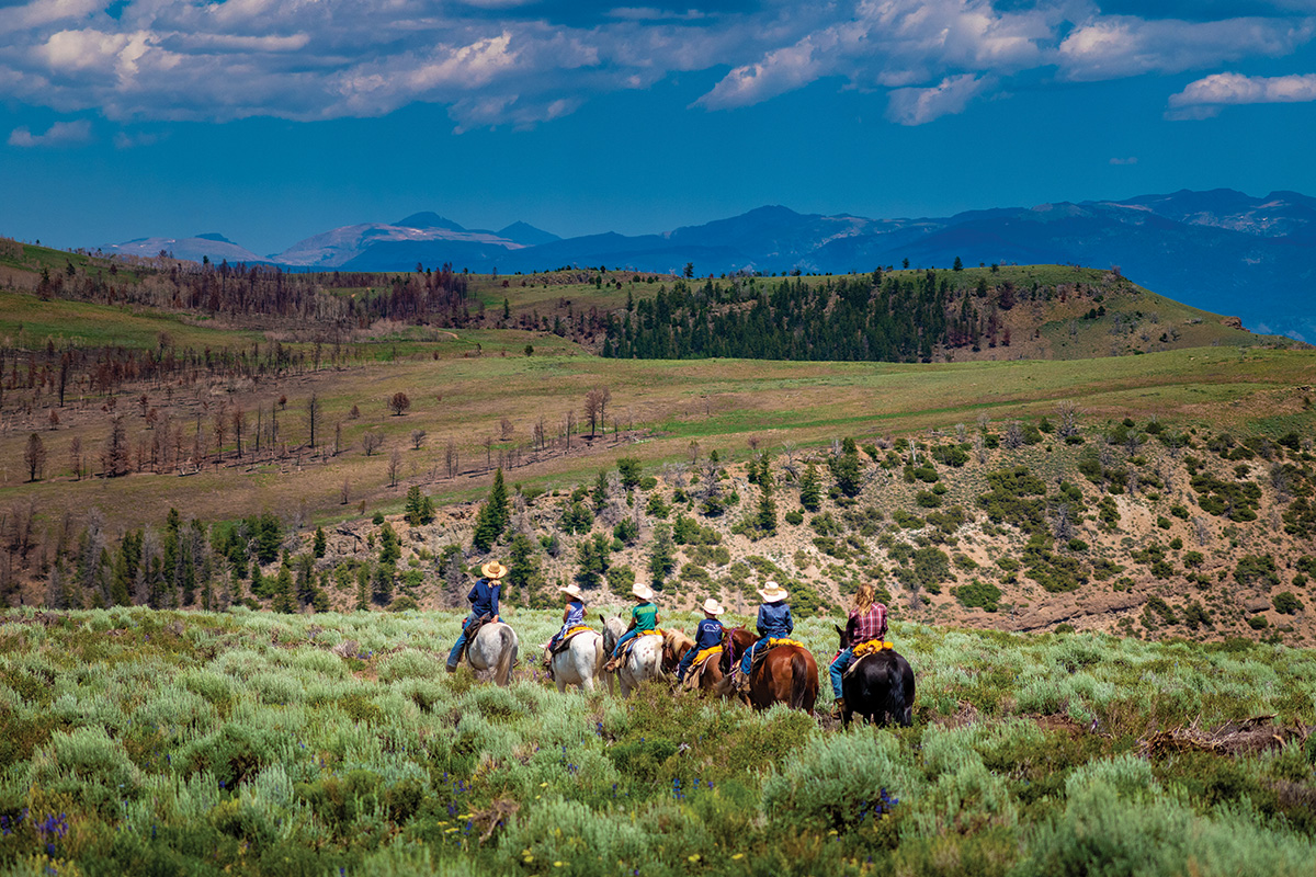 A group of horses and out for a ride at a Colorado guest ranch