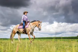 A Guide to Cross-Training for Equestrians