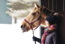Equestrian Winter Wellness An equestrian handling a horse in the winter.