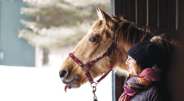 An equestrian handling a horse in the winter.