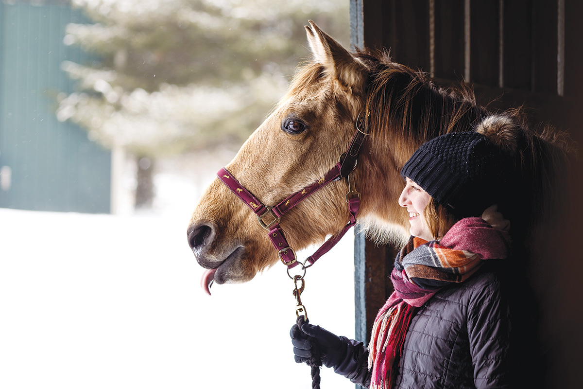 An equestrian handling a horse in the winter.