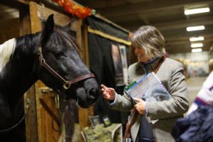 An Equine Affaire to Remember