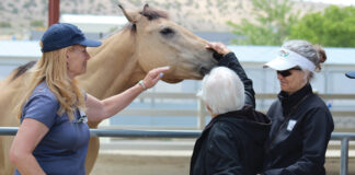 Alzheimer's disease patients and their family members visit with a horse in an equine-assisted therapy program