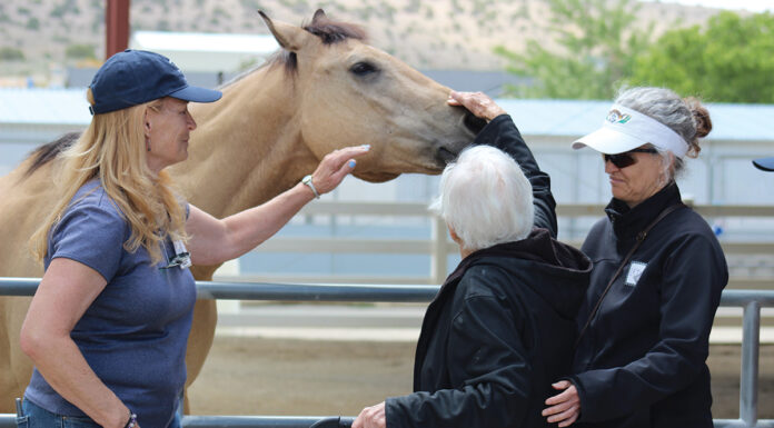 Alzheimer's disease patients and their family members visit with a horse in an equine-assisted therapy program