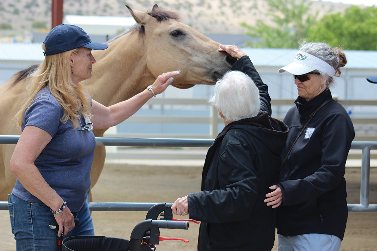Pacientes com doença de Alzheimer e seus familiares visitam um cavalo em um programa de terapia assistida por equinos
