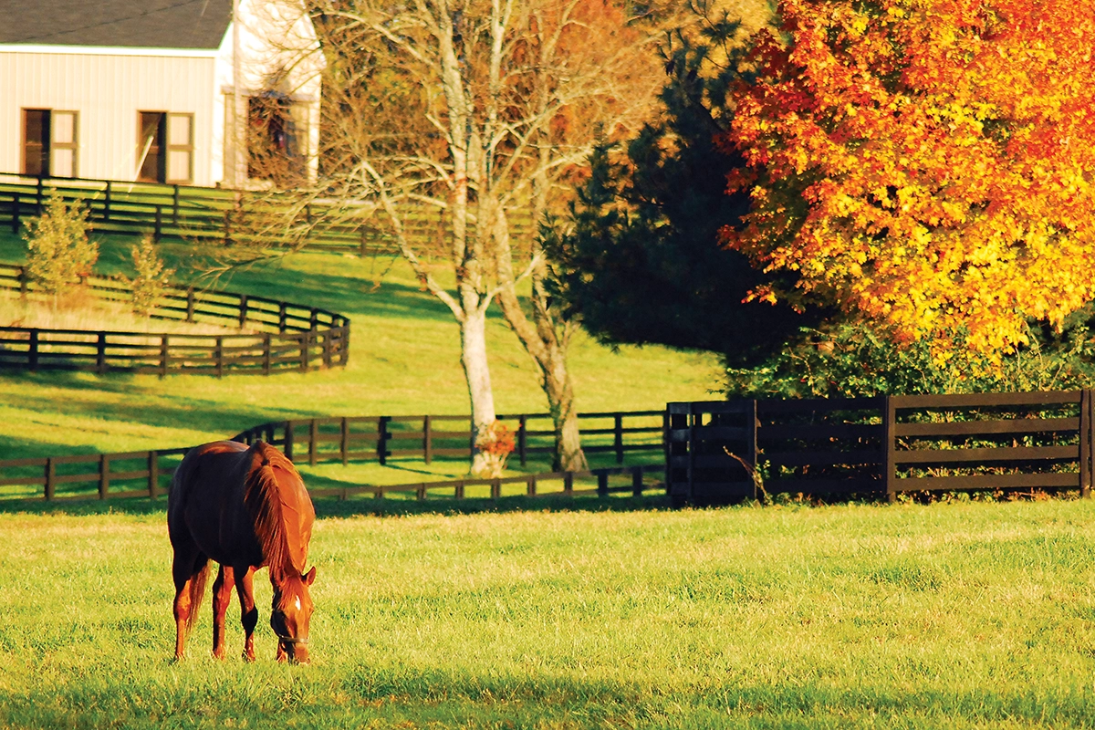 Fall Laminitis Concerns