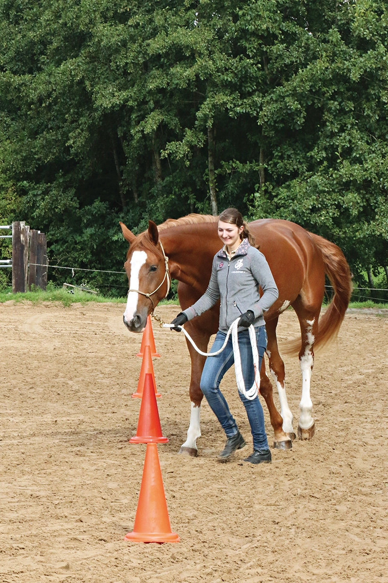 A girl leading her horse through cones.