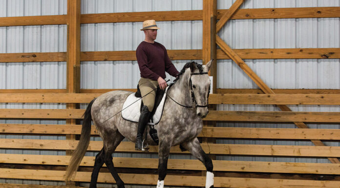 A rider finding ways to improve the horse's comfort to maintain good behavior