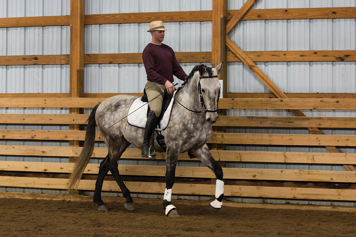 A rider finding ways to improve the horse's comfort to maintain good behavior