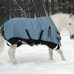 A gray horse in a turnout blanket in the snow