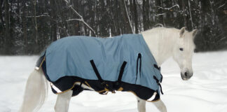 A gray horse in a turnout blanket in the snow