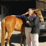 A vet evaluates a horse with potential colitis