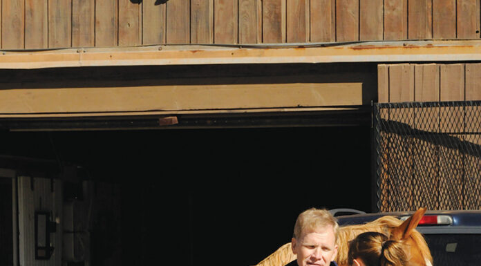 A vet evaluates a horse with potential colitis