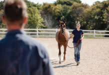 A girl jogs a horse for a vet to get a second opinion on the horse's diagnosis