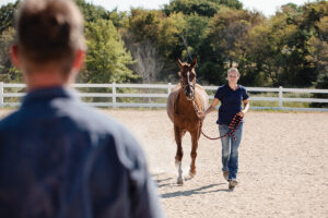 Do You Need a Second Opinion for Your Horse’s Diagnosis?