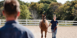 A girl jogs a horse for a vet to get a second opinion on the horse's diagnosis