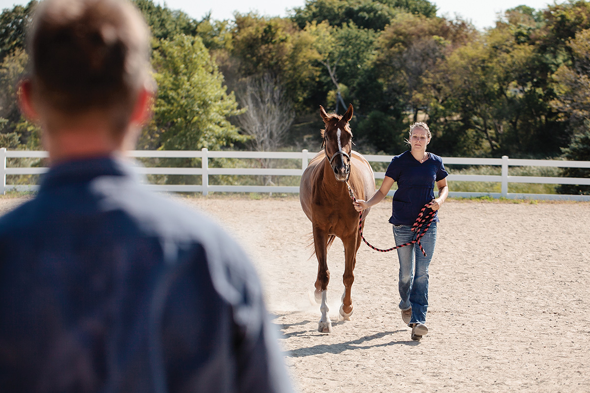 A girl jogs a horse for a vet to get a second opinion on the horse's diagnosis