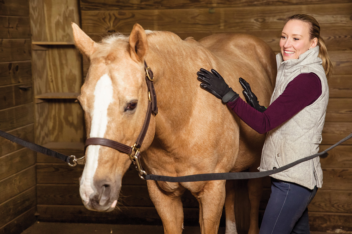 A woman currying her horse, one of the top horse grooming tips