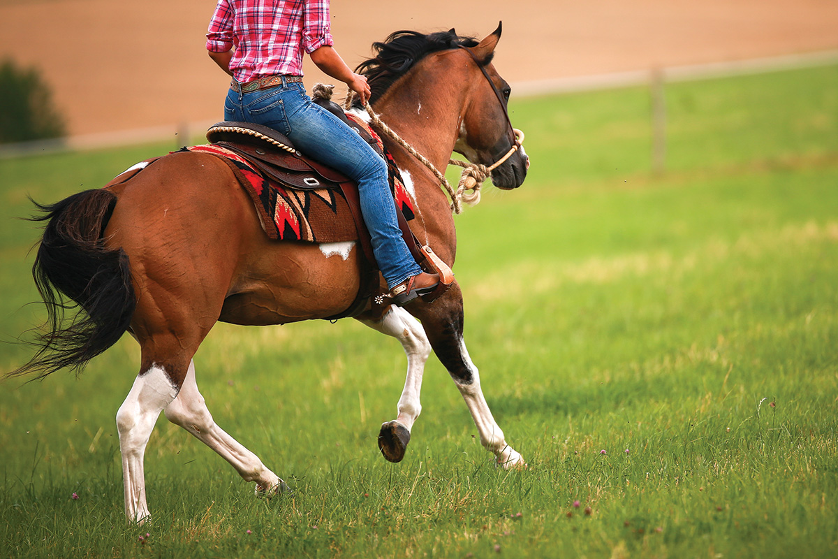 A Paint Tobiano loping through a field