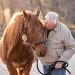 An older man hugs a rescue horse