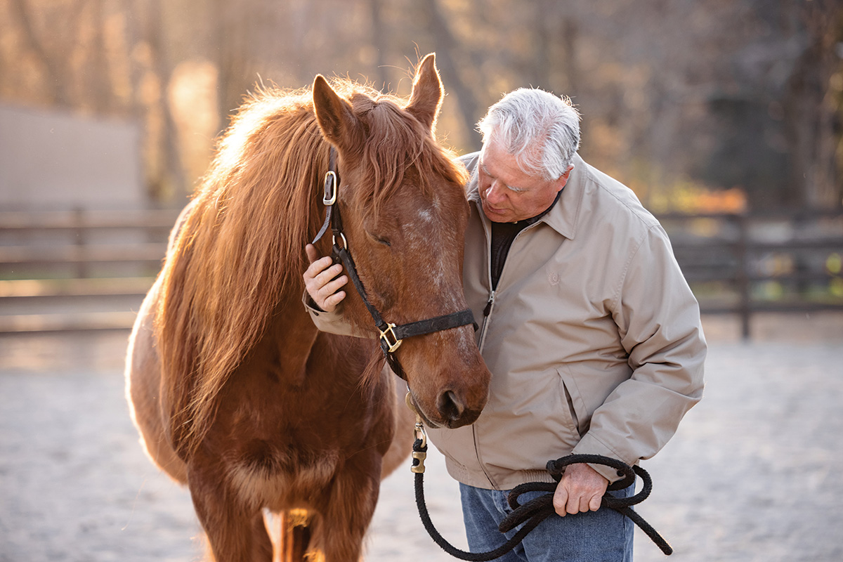 An older man hugs a rescue horse