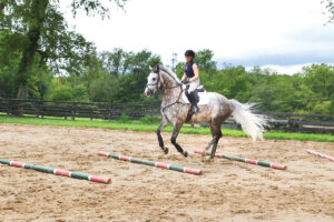 Exercises for Small Riding Spaces