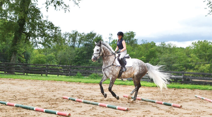 A horse and rider perform one of the small riding space exercises detailed in this article
