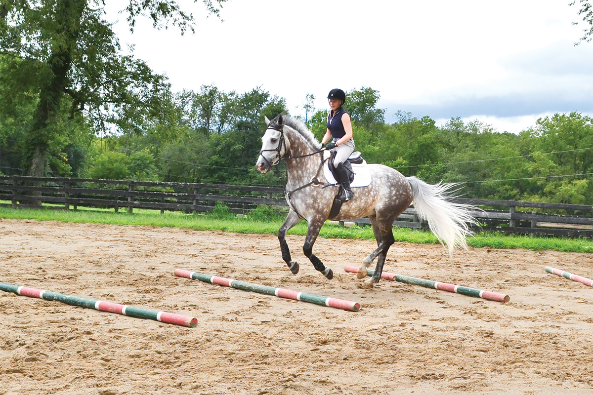 A horse and rider perform one of the small riding space exercises detailed in this article