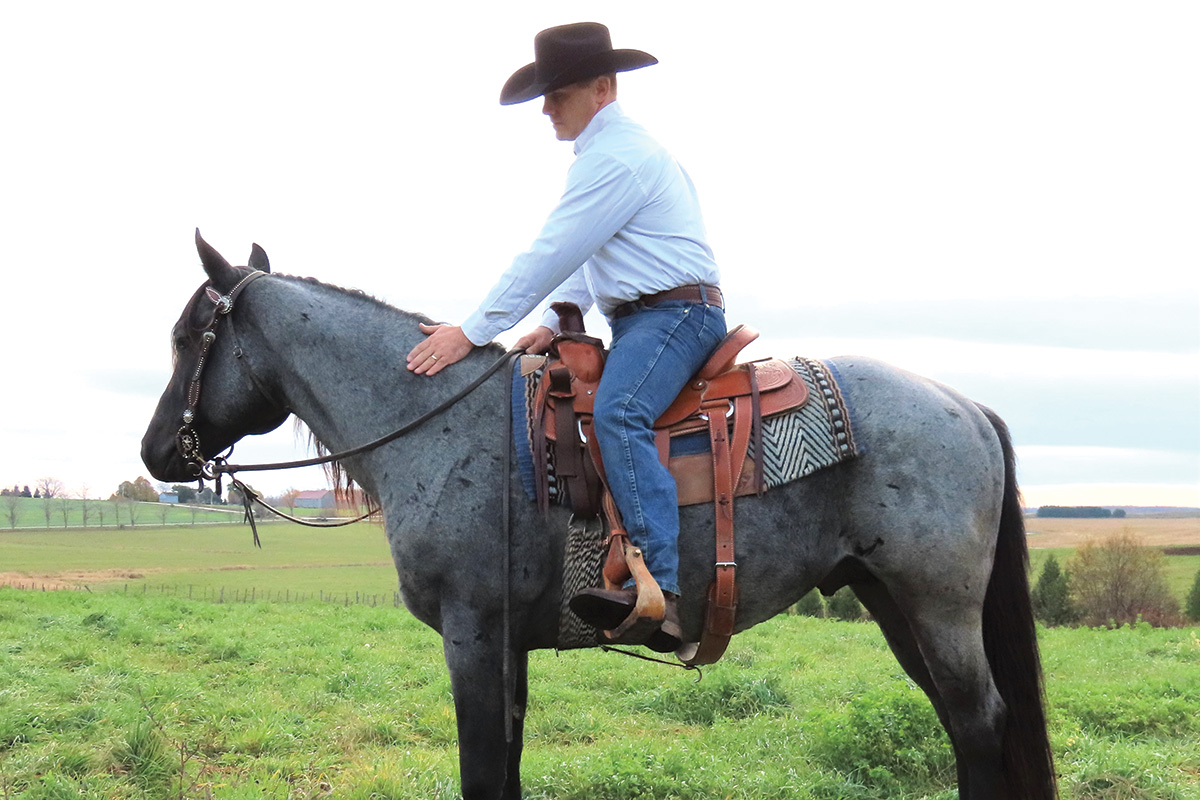 A trainer shows how to teach a horse to stand still while mounting