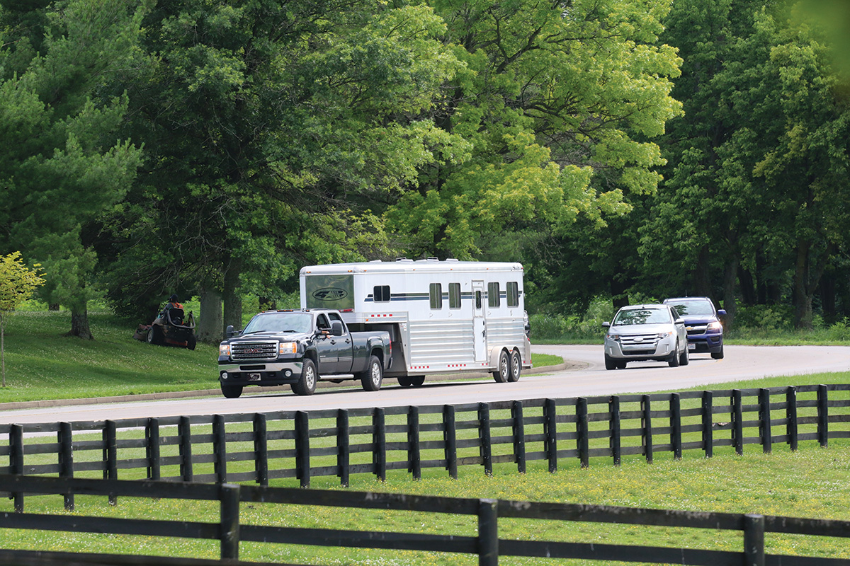 A horse trailer and truck driving down a fence-lined drive